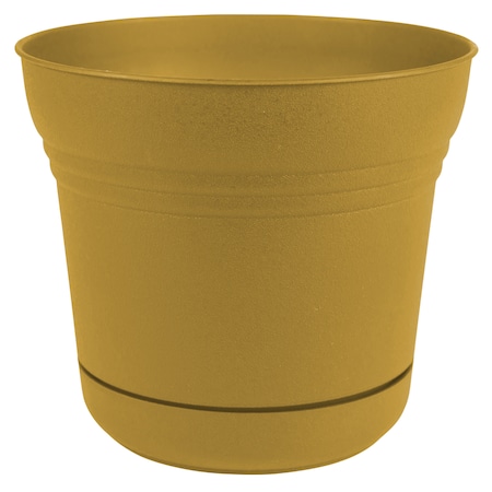 Bloem Bloem Saturn 4.5 in. H X 5 in. W Plastic Traditional Planter Yellow SP0523
